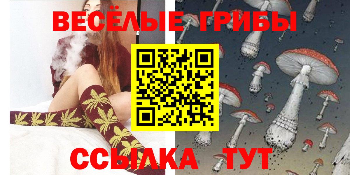Псилоцибиновые грибы Cubensis Саянск